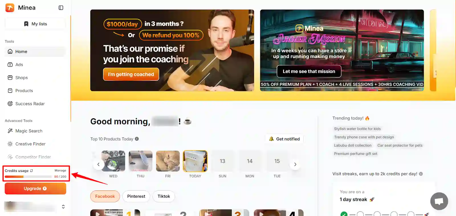 Minea login and research workspace after creating an account
