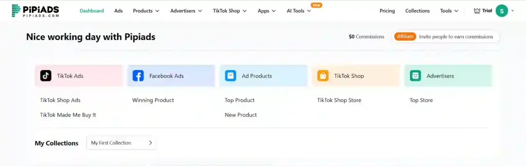 PiPiADS Dashboard